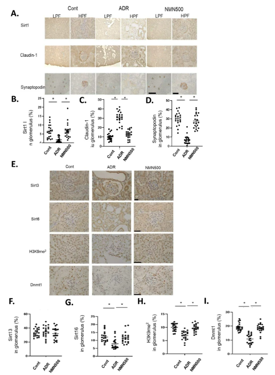 古特生物 古特生物