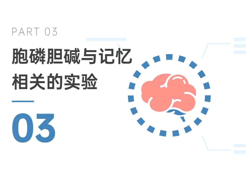 03胞磷膽堿與記憶相關的實驗 03胞磷膽堿與記憶相關的實驗