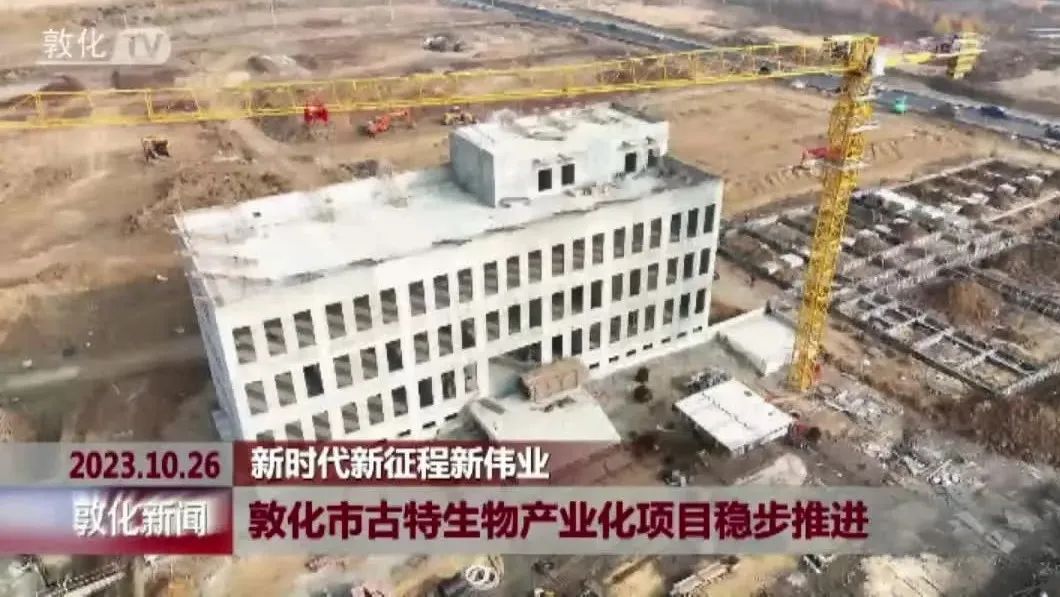 延邊這一項目預(yù)計2024年10月份交付使用 延邊這一項目預(yù)計2024年10月份交付使用