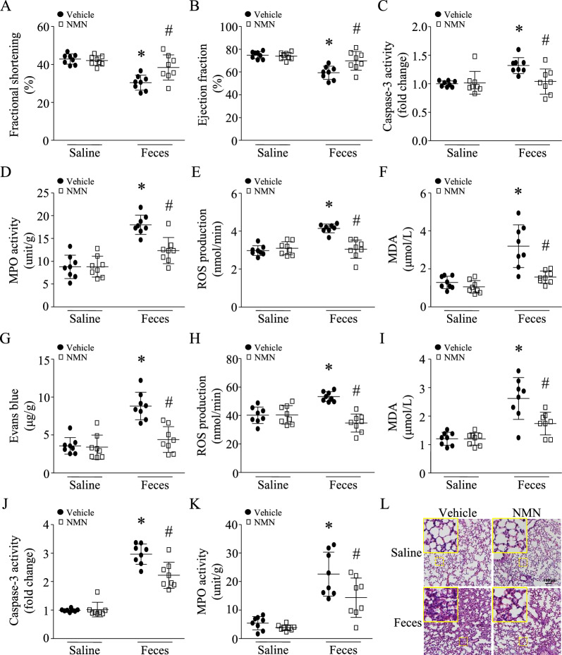 古特生物 包含圖片、插圖等的外部文件。
對象名稱為 12967_2023_4767_Fig2_HTML.jpg
