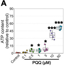 古特生物 PQQ給藥對體外ATP的影響