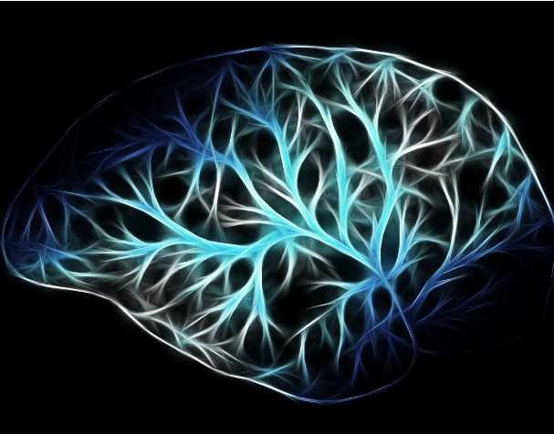 古特生物 PQQ對(duì)大腦功能的影響