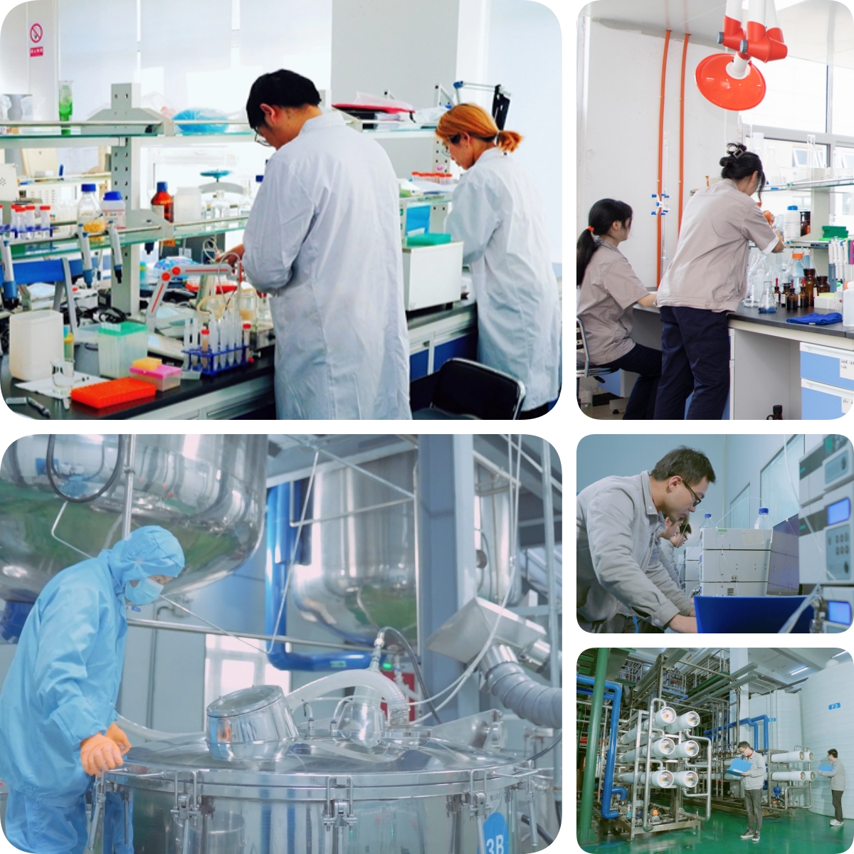 谷胱甘肽是怎么生產(chǎn)的？