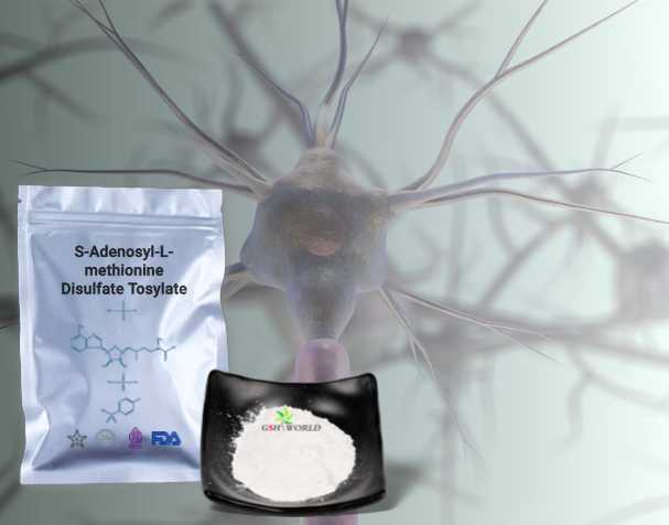SAMe對神經健康的作用