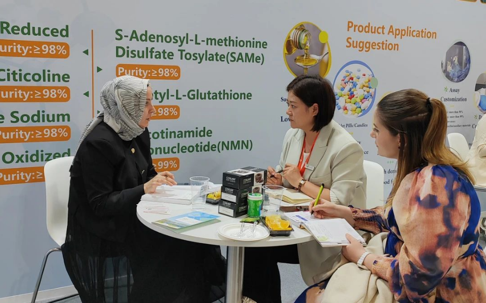 展會現場為客戶介紹公司產品 展會現場為客戶介紹公司產品