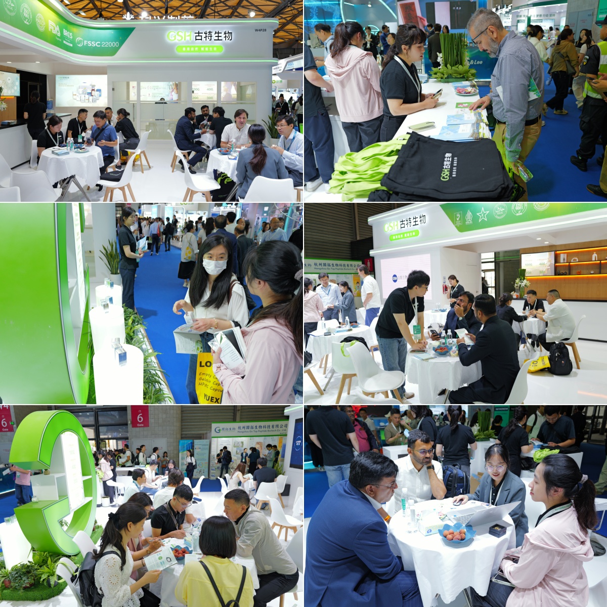 古特生物 古特生物