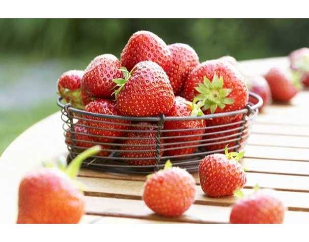 在維持果實(shí)營(yíng)養(yǎng)品質(zhì)方面，谷胱甘肽表現(xiàn)突出