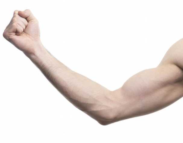 助肌肉功能維護 助肌肉功能維護