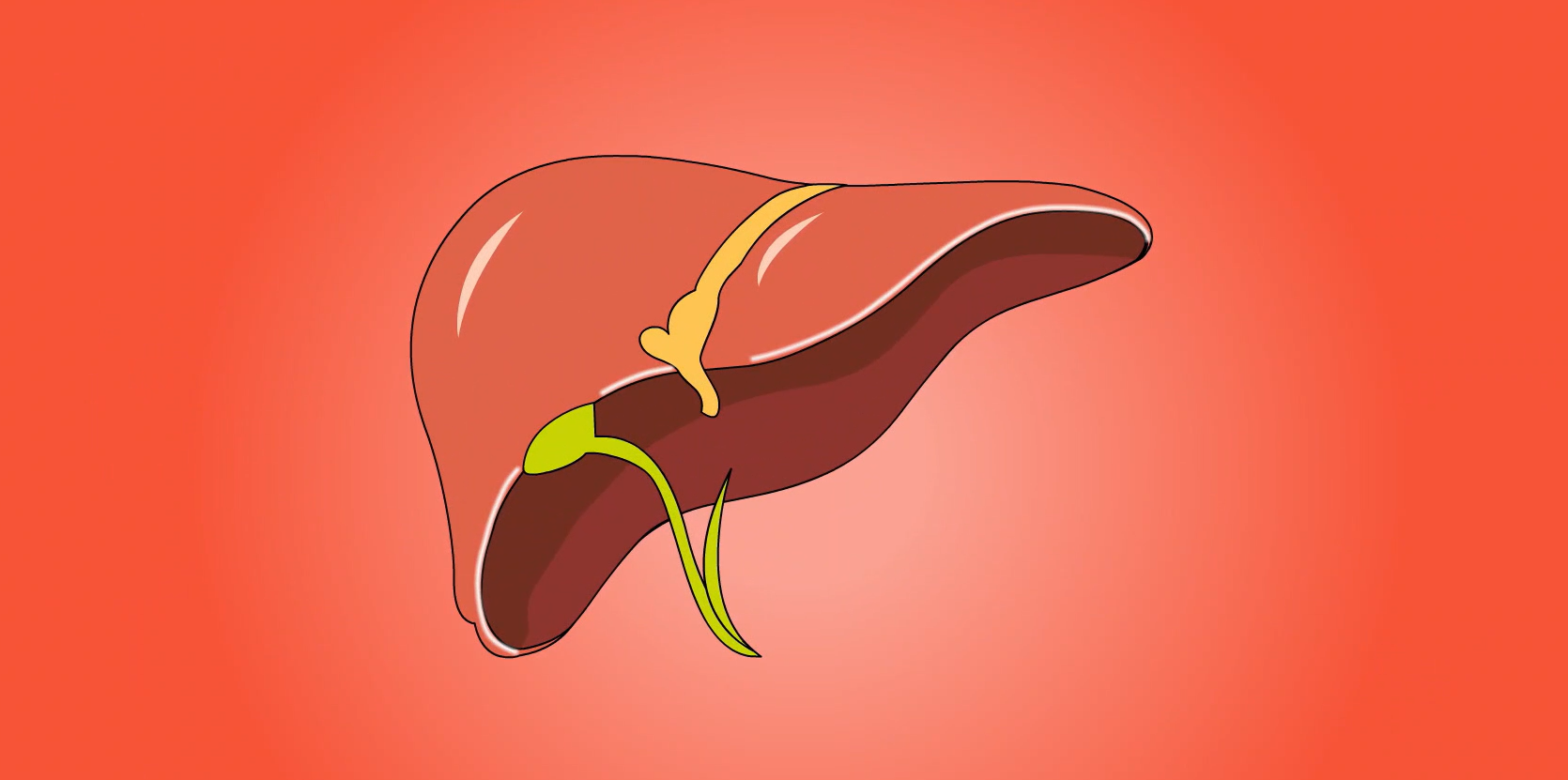 精準(zhǔn)人群：4類肝高危群體的專屬守護(hù)方案