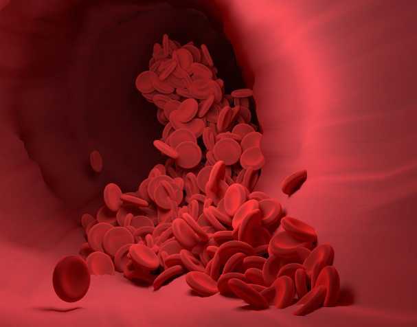 代謝吸收更具優勢 代謝吸收更具優勢