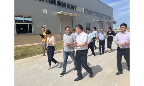 市委常委、副市長(zhǎng)呂棟來公司調(diào)研