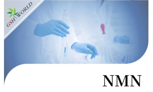 行業關注 - NMN的保健功能與最新研究進展