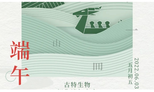 端午 - 爭(zhēng)流而上，行舟踏浪