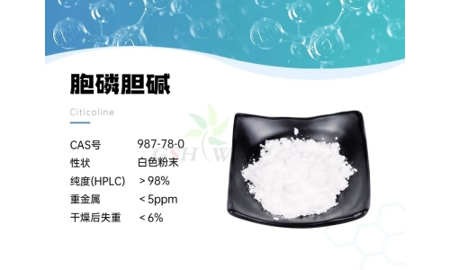 產(chǎn)品資訊 - 胞磷膽堿在視網(wǎng)膜病理學(xué)中的作用