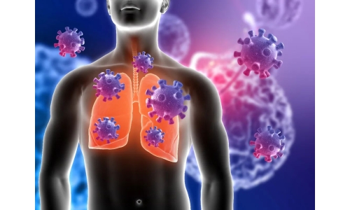 鐘南山：6月底將迎來二陽高峰！危害更大？NMN能有效抵御“二陽”！