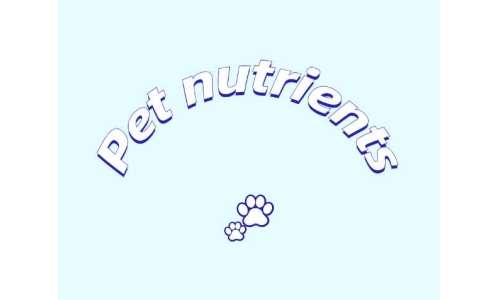 三種具有潛力的寵物營養素——PQQ、輔酶Q10以及S-腺苷甲硫氨酸