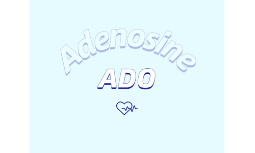 腺苷在化妝品中的應用：抗衰老與防脫發