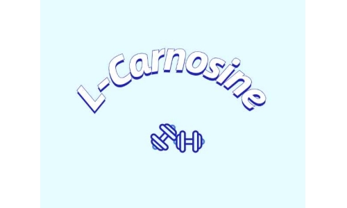 肌肽在食品工業中的應用前景