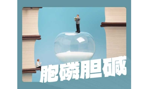 胞磷膽堿比膽堿更好嗎？